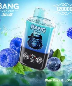 Alternative view of BANG Leader 120K Puffs