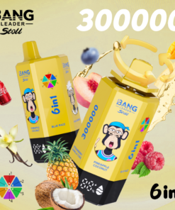 Bang Leader stoll 300K Puffs 6u1
