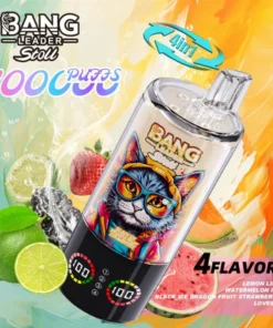 BANG Leader Stoll 100K Puffs 4u1