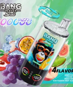 Alternative view of BANG Leader Stoll 100K Puffs 4u1